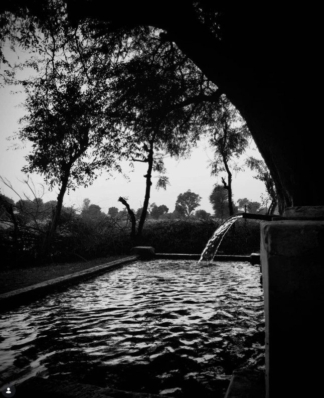 Water flowing into a stone trough framed by an arch with silhouetted trees